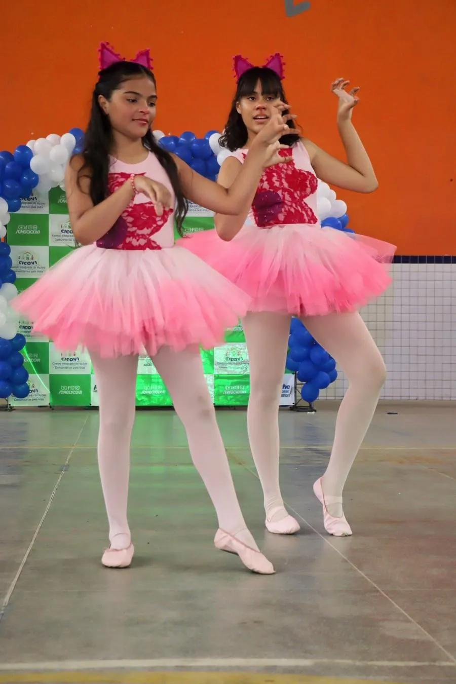 Imagem da Galeria