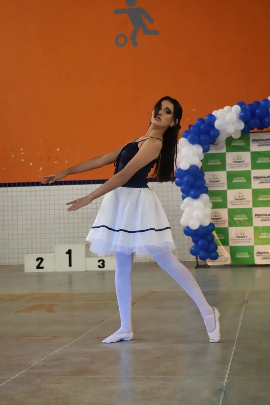 Imagem da Galeria