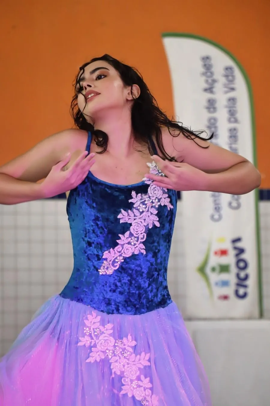 Imagem da Galeria